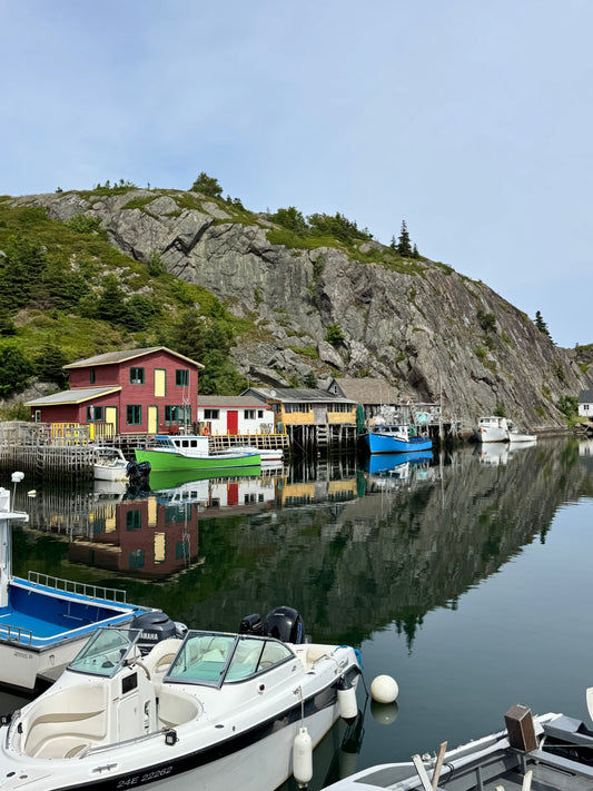 Newfoundland: The Road Trip That Stole Our Hearts
