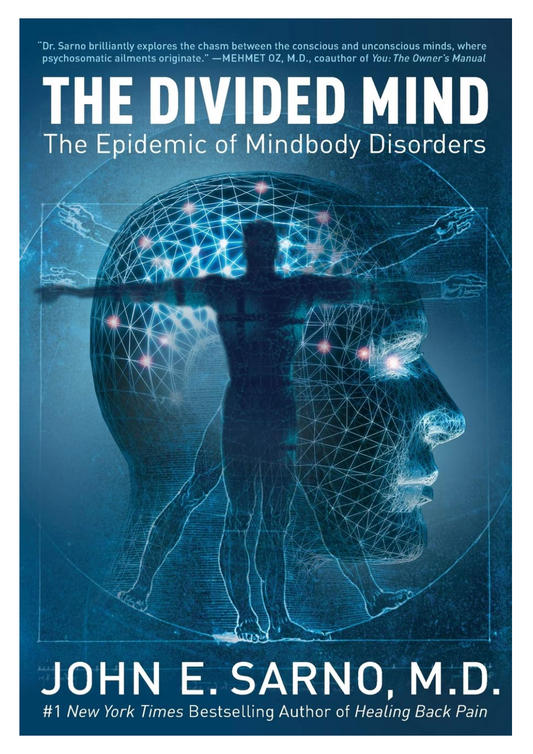 The Divided Mind: The Epidemic of Mindbody Disorders